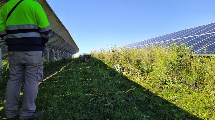 Spider 2SGS Produktivität im Solarpark - Bediener überwacht ferngesteuertes Mähen unter Photovoltaik-Paneelen mit hoher Effizienz