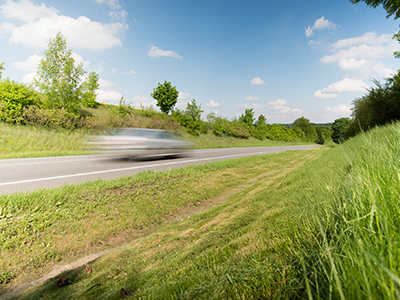 Naturnahe Straßenböschung mit Wildblumen - Spider eZERO emissionsfrei für Naturschutz: Schützt Flora und Fauna, vermeidet Abgase und Risiko schädlicher Emissionen