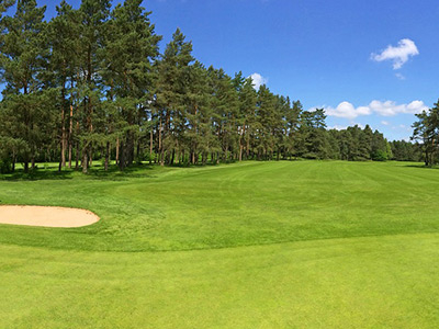 Gepflegter Golfplatz mit Bunker und Baumbestand - Spider eZERO für Golfanlagen: Mäht Bunkerböschungen und Liegewiesen ohne Lärmbelästigung der Gäste
