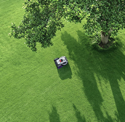 Ein M9 Pro Mähroboter mäht unter einem großen Baum