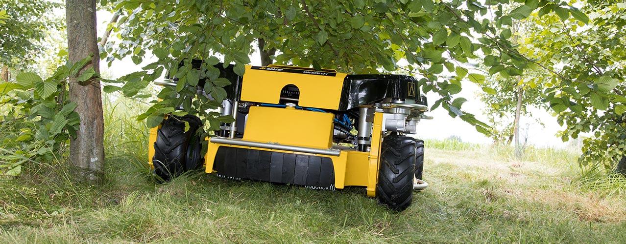 Auf diesem Bild sieht man den Spider 2SGS EFI Super Low, der unter einem Baum mit tief hängenden Ästen hindurchfährt.