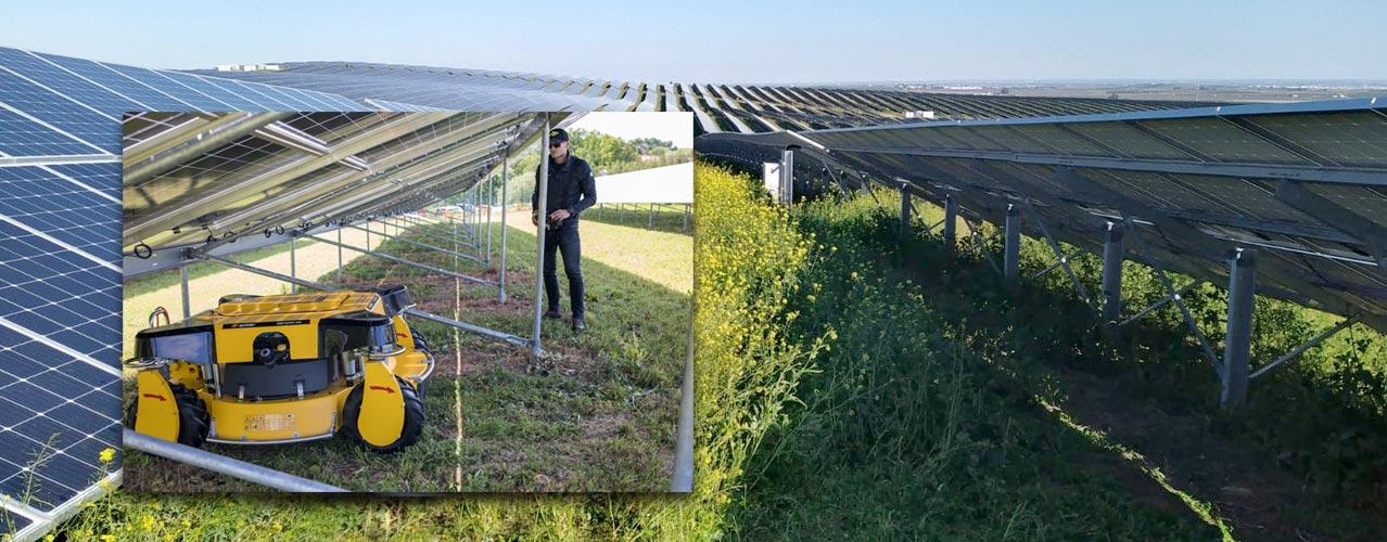 Auf diesem Bild ist der Solarpark zu sehen, und im Einzelbild fährt der Spider 2SGS EFI Super Low unter die Solarpaneele.