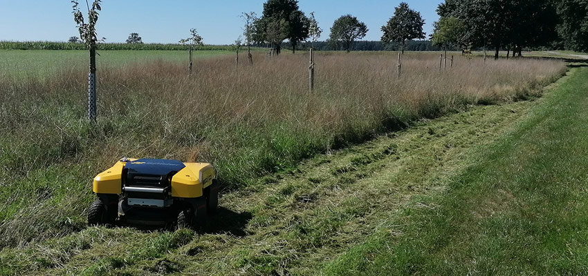 Spider E-CROSS LINER vollelektrischer Großflächenmäher ohne Seilwinde mit Schleuderwendung