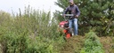 Vari Einzweckmulcher Hochgrasmäher HURRICANE F-700 HYDRO mit Honda GXV390 Motor