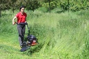 Vari Gestrüppmäher Trommelmäher Kreiselmäher Dorotha BDR-620DH mit Honda GCVx200 Motor