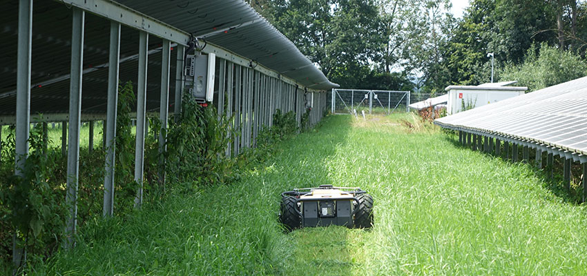 Spider E ZERO - vollelektrischer Großflächenmäher, Solarpark PflegeVorführmaschine