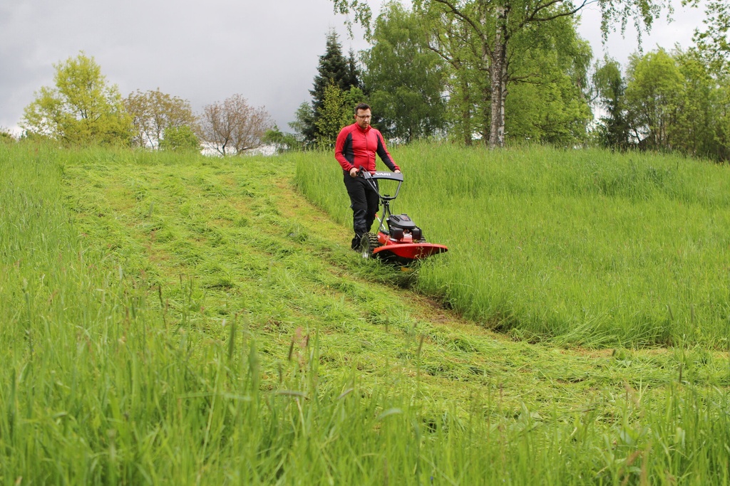 Vari Gestrüppmäher Adela Pro Honda GCVx200