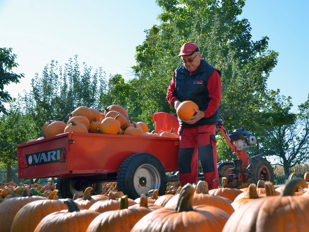 Vari ANV-400 Kippanhänger