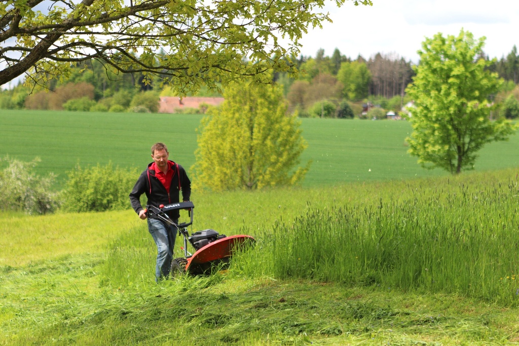 Vari Gestrüppmäher Trommelmäher BDR-720D Adela Pro mit Honda GCVx200 Motor mit automatischer Differenzialsperre